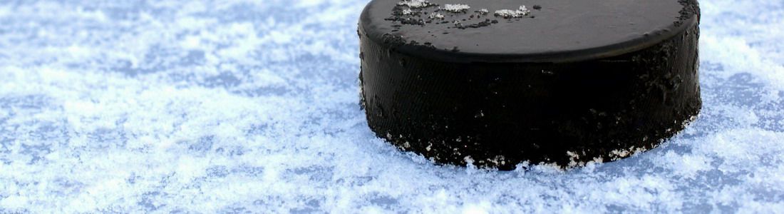 В Новокузнецке можно будет смотреть хоккей «на халяву»