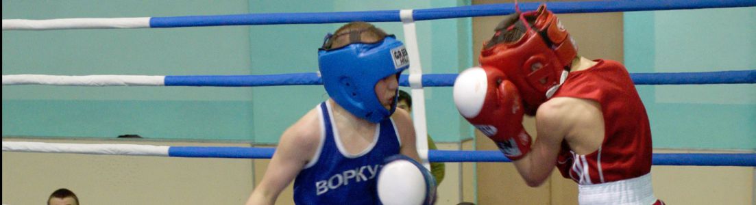 Новокузнецкие боксеры привезли медали с областного турнира