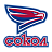 Сокол
